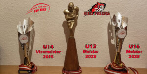 Read more about the article 2025 ein sehr erfolgreiches Jahr